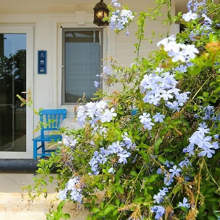 Asli Apart Apartament *